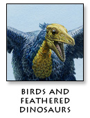 Birds and Feathered Dinosaurs